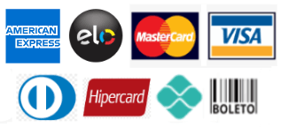 Visa, Master Card, Dinners, American Express, Hipercard, Elo, Pix e Boleto